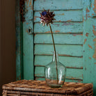 Purple Blooming Artichoke Stem