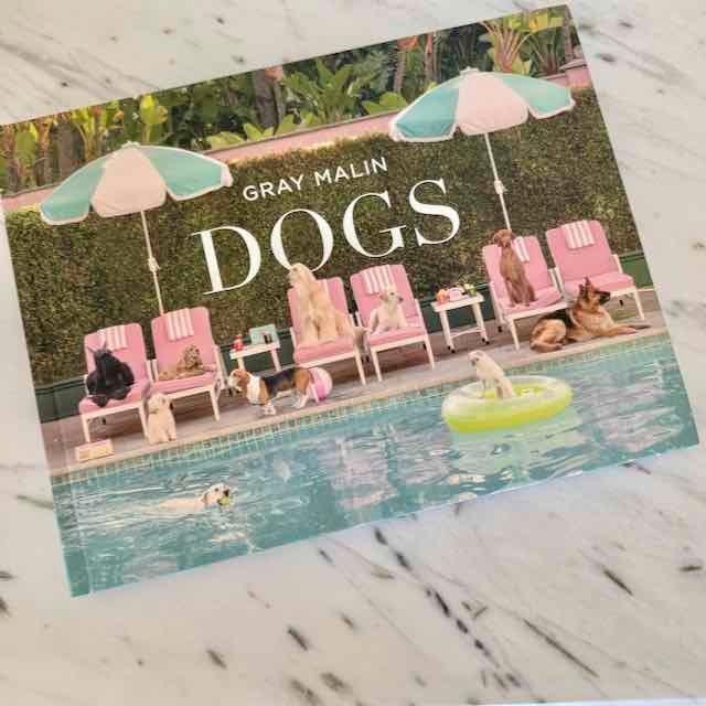 Book cover of 'DOGS' by Gray Malin featuring dogs around a pool.
