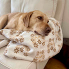 Dog wrapped in a patterned blanket on a couch