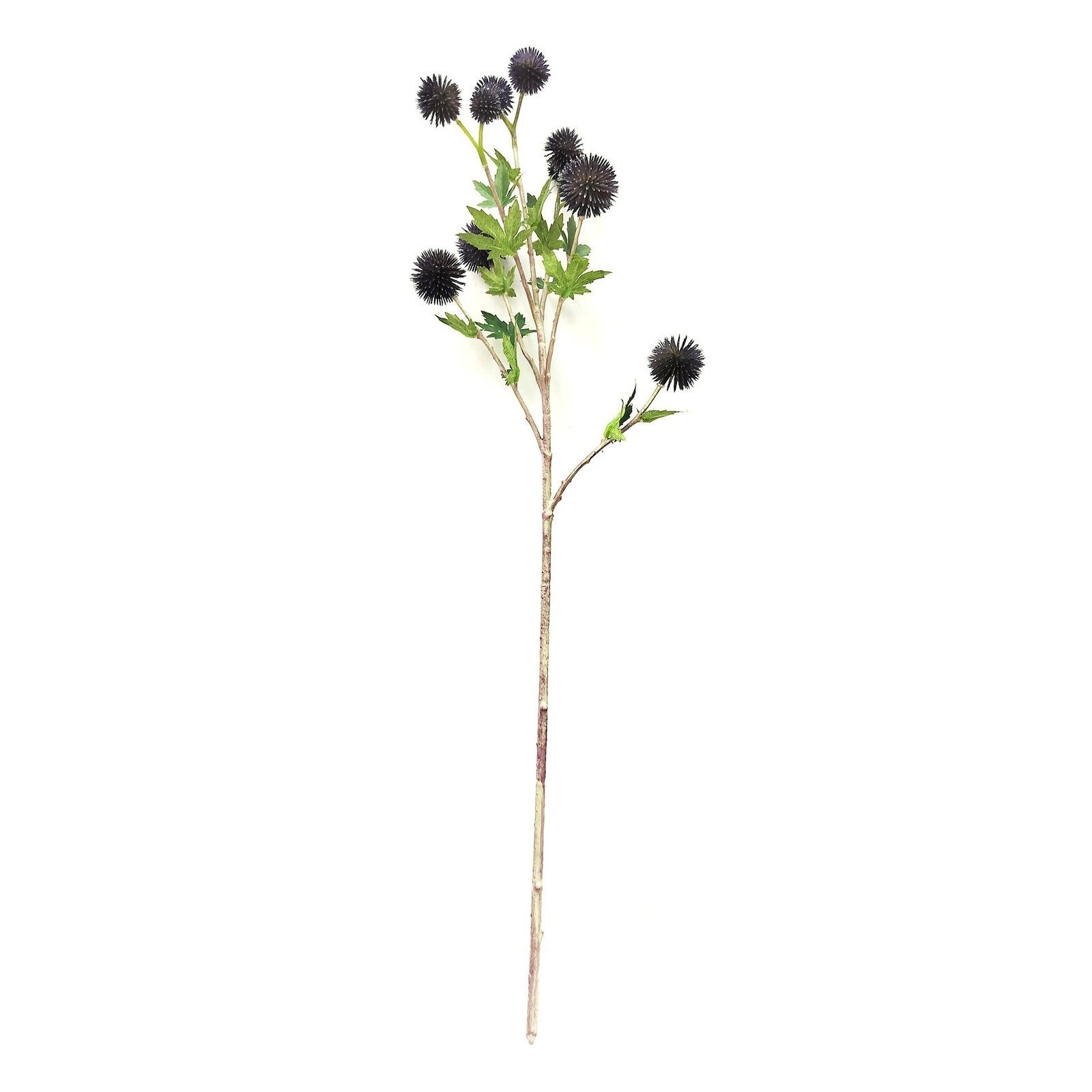 Artificial plant stem with black thistle flowers on a white background