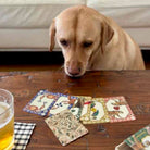 Dog looking at playing cards on a table with a glass of beer