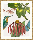 Framed botanical art print featuring a kingfisher, green leaves, small pink fish, a red coneflower, and a blue butterfly on an off-white background, surrounded by a gold-toned frame.