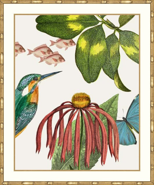 Framed botanical art print featuring a kingfisher, green leaves, small pink fish, a red coneflower, and a blue butterfly on an off-white background, surrounded by a gold-toned frame.