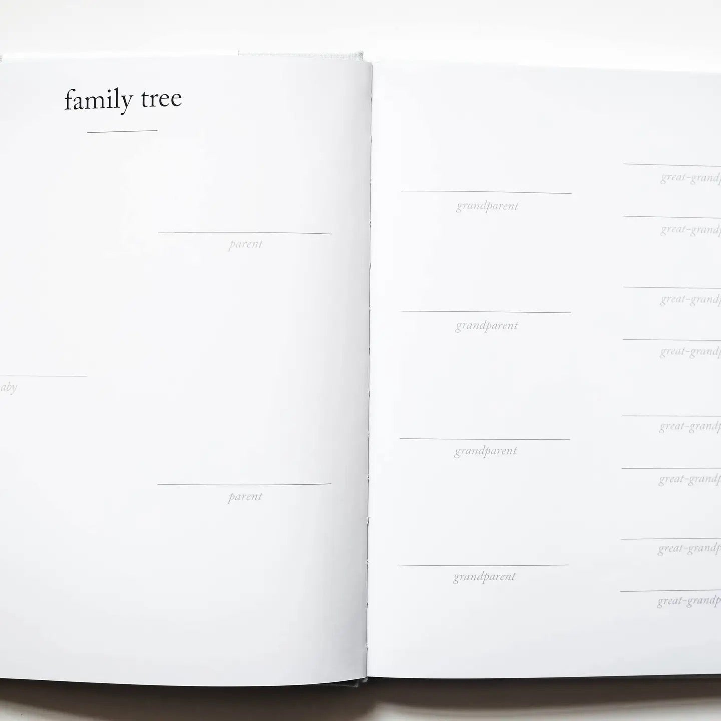 Family tree chart with labels on a white background
