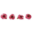 Four pink and red flower-shaped hair pins with green stems, arranged horizontally on a plain white background.