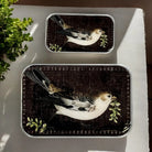 Two rectangular metal tin containers with rounded corners, featuring a detailed bird illustration on a dark brown textured background, displayed on a white surface with a green plant in the corner.