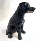 Black Lab Money Bank