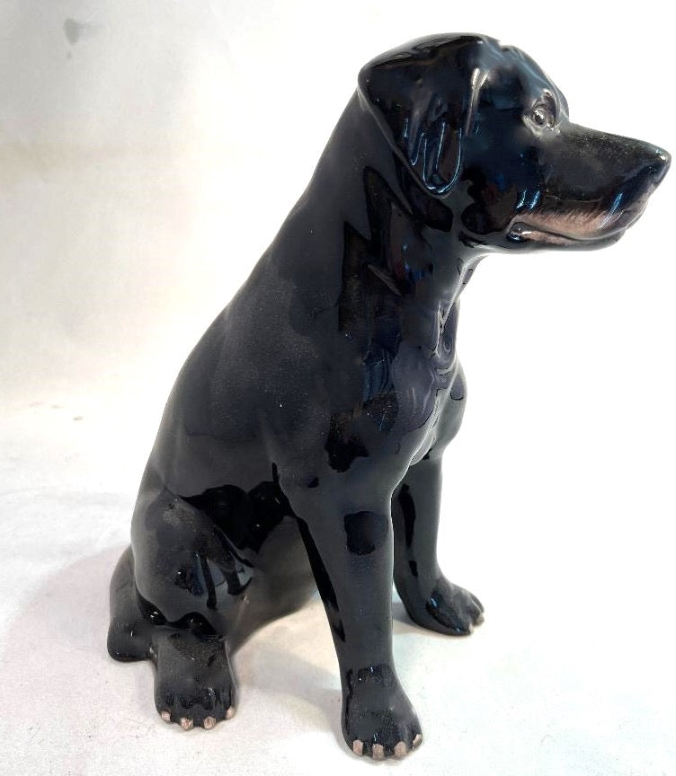Black Lab Money Bank