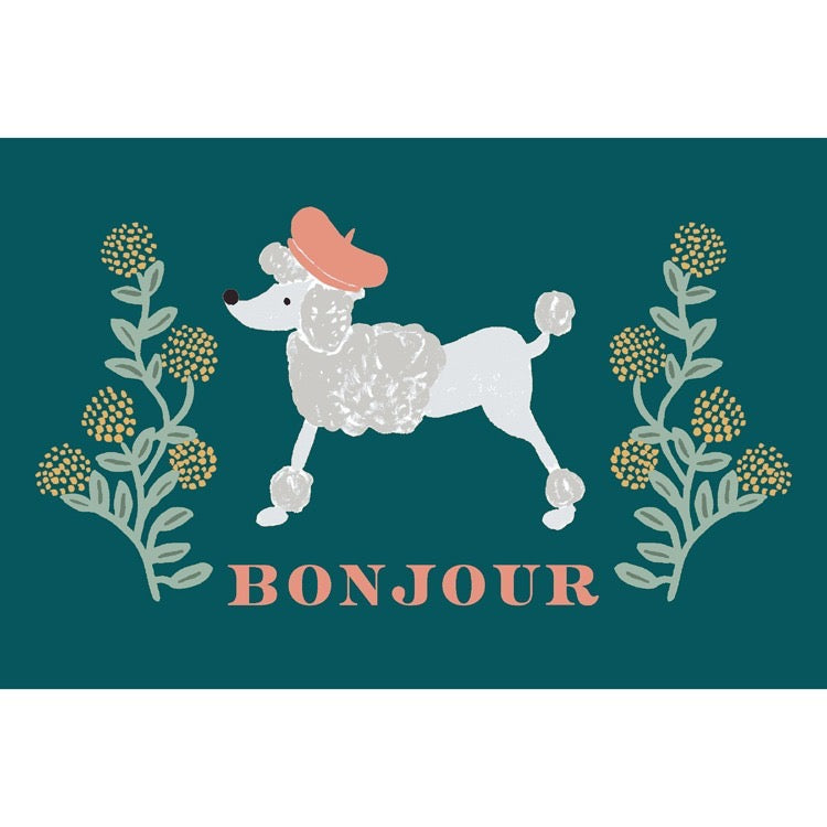 Illustration of a poodle with a pink hat and 'Bonjour' text on a green background