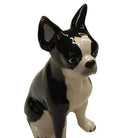 Boston Terrier Money Bank