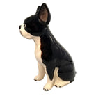 Boston Terrier Money Bank