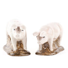 British Lop Pig Salt & Pepper Shaker