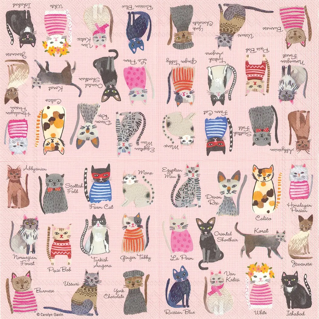 Cat Lover Cocktail Napkins - Pack of 20