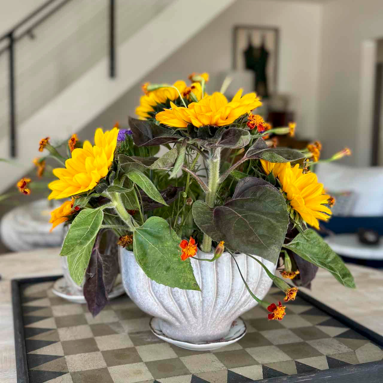 Potted sunflower plant on a checkered tablecloth with a blurred indoor background