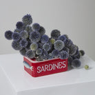 Ceramic Sardine Tin Mini Planter