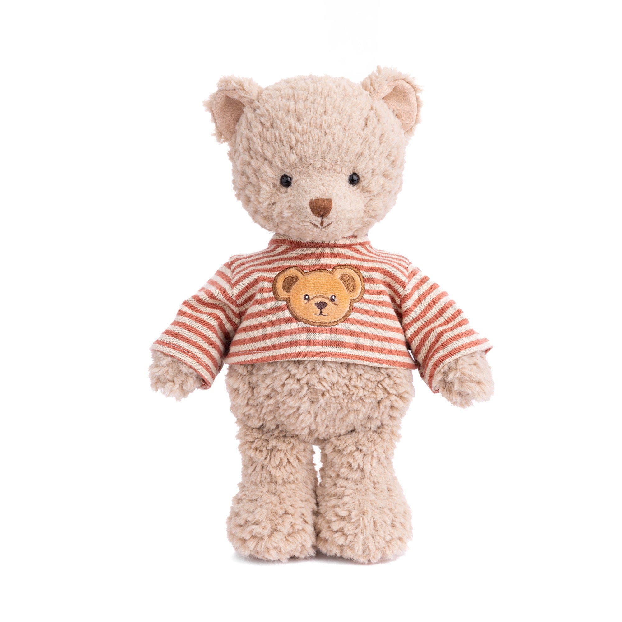 Stuffed teddy bear wearing a striped shirt with a bear face design on a white background