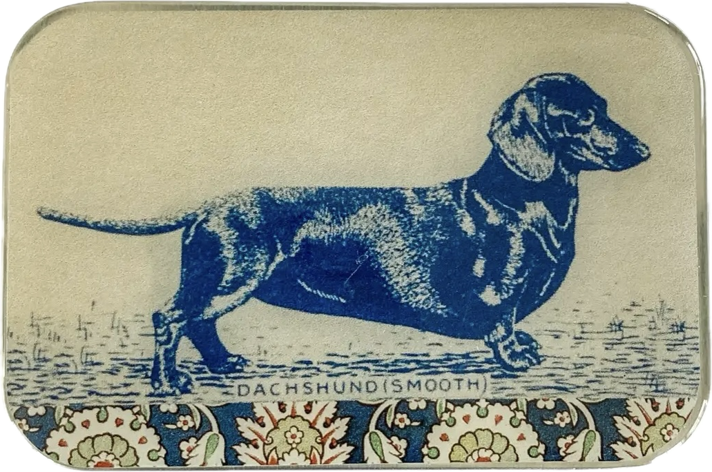 Dachshund Notions Tin