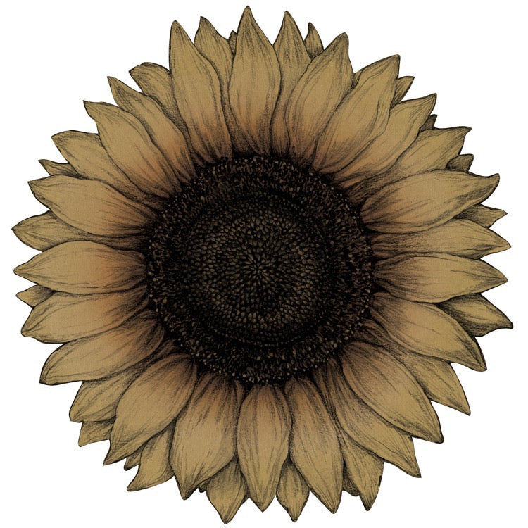 Die-cut Vintage Sunflower Placemat - Pack of 12