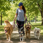 A woman walks three dogs on leashes along a sunlit park path. She wears a blue cap, gray T-shirt, and black leggings.