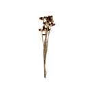 Tortoiseshell-patterned toothbrush on a white background