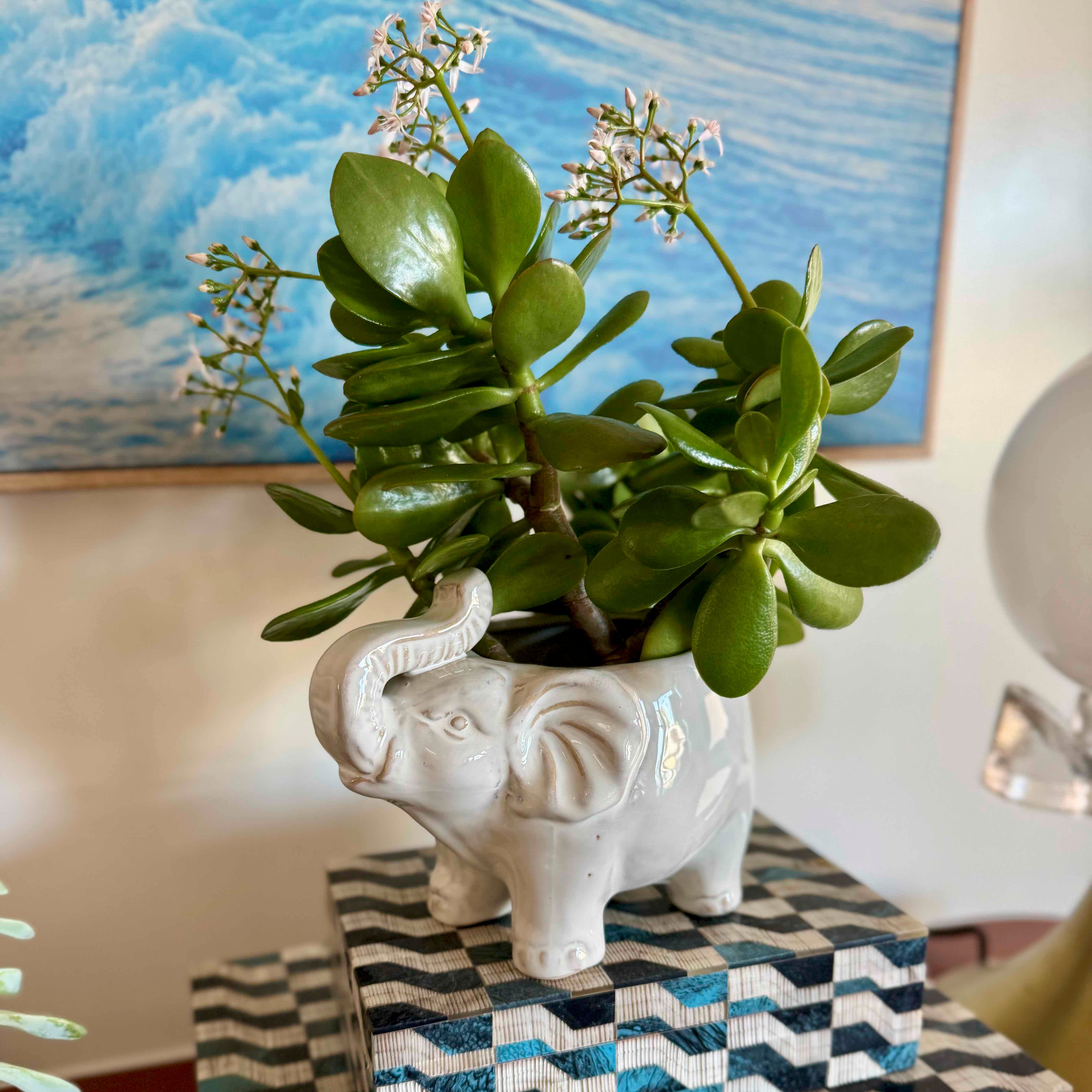 Potted plant in an elephant-shaped pot on a decorative table with a blue abstract painting in the background.