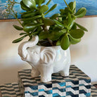 White ceramic elephant planter with green plant on a patterned surface
