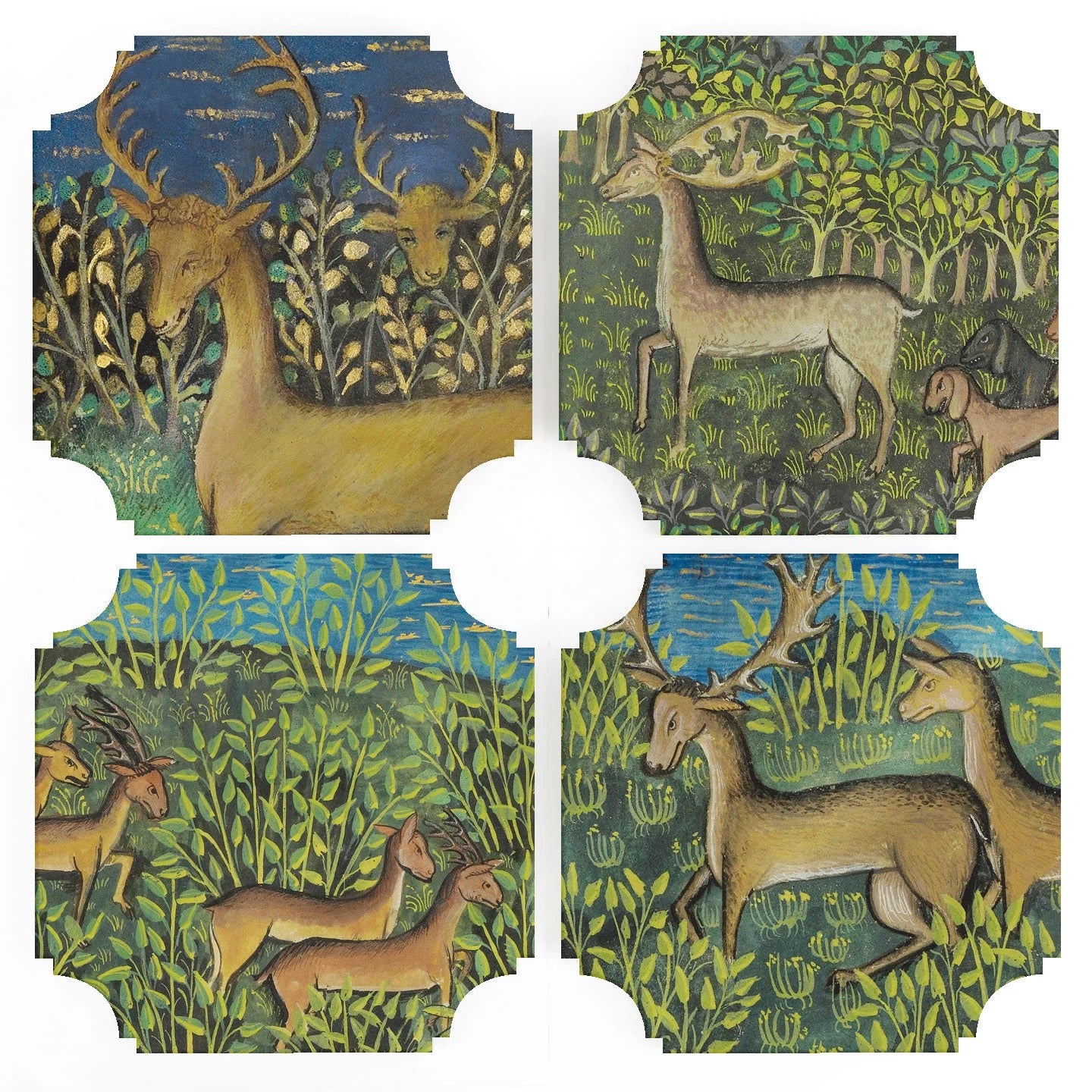 Enchanting Deer Coasters - Set of 4