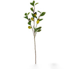 Eureka Lemon Branch
