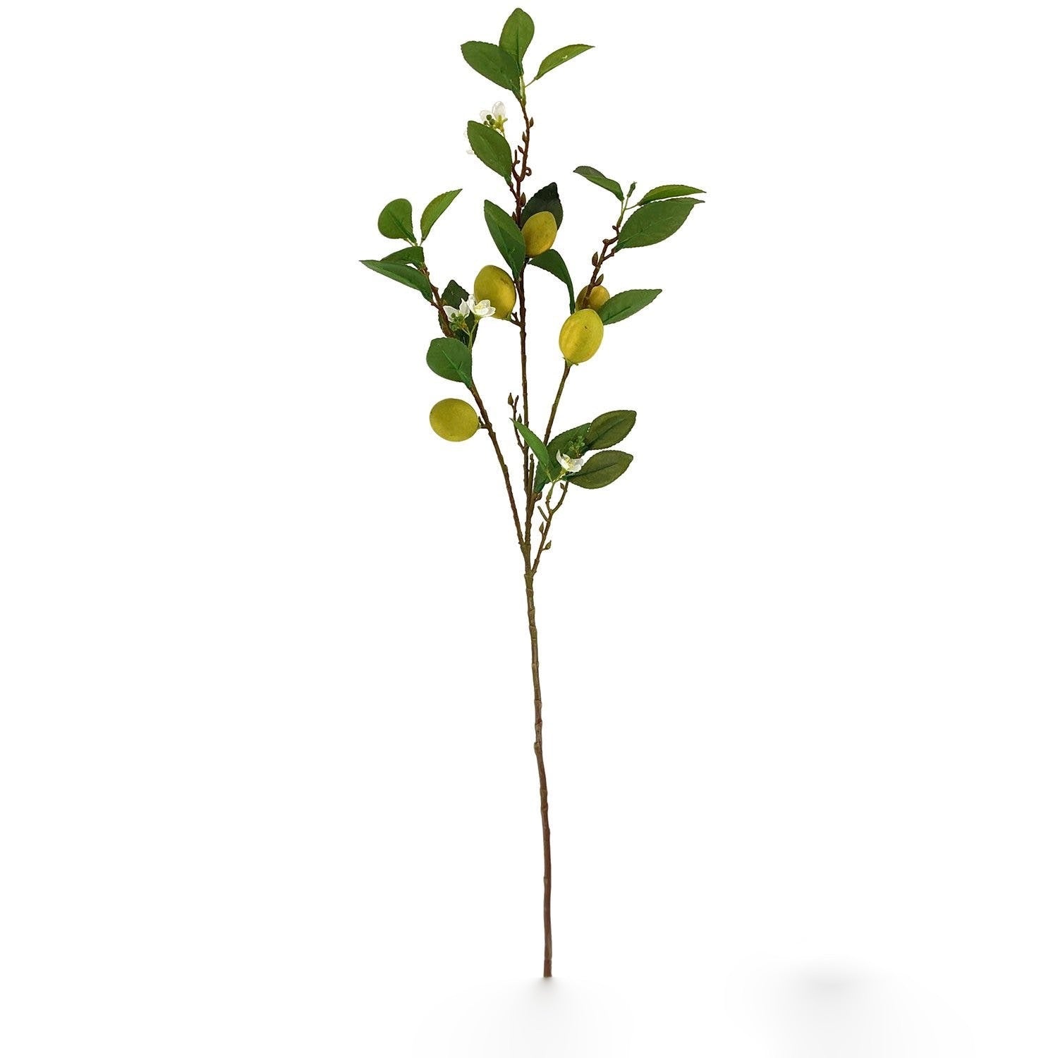 Eureka Lemon Branch