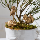 Three metallic gold garden figurines of an owl, a hedgehog, and a squirrel mounted on a tree branch with green moss, set in a white ceramic pot.
