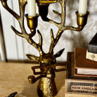 Frankie Candelabra