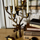 Frankie Candelabra