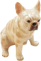 French Bulldog Piggy Bank