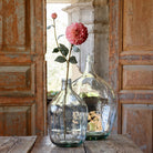 Two glass bottles with a single pink flower against a rustic wooden door background