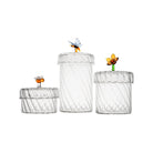 Set of three clear glass containers with decorative elements on a white background
