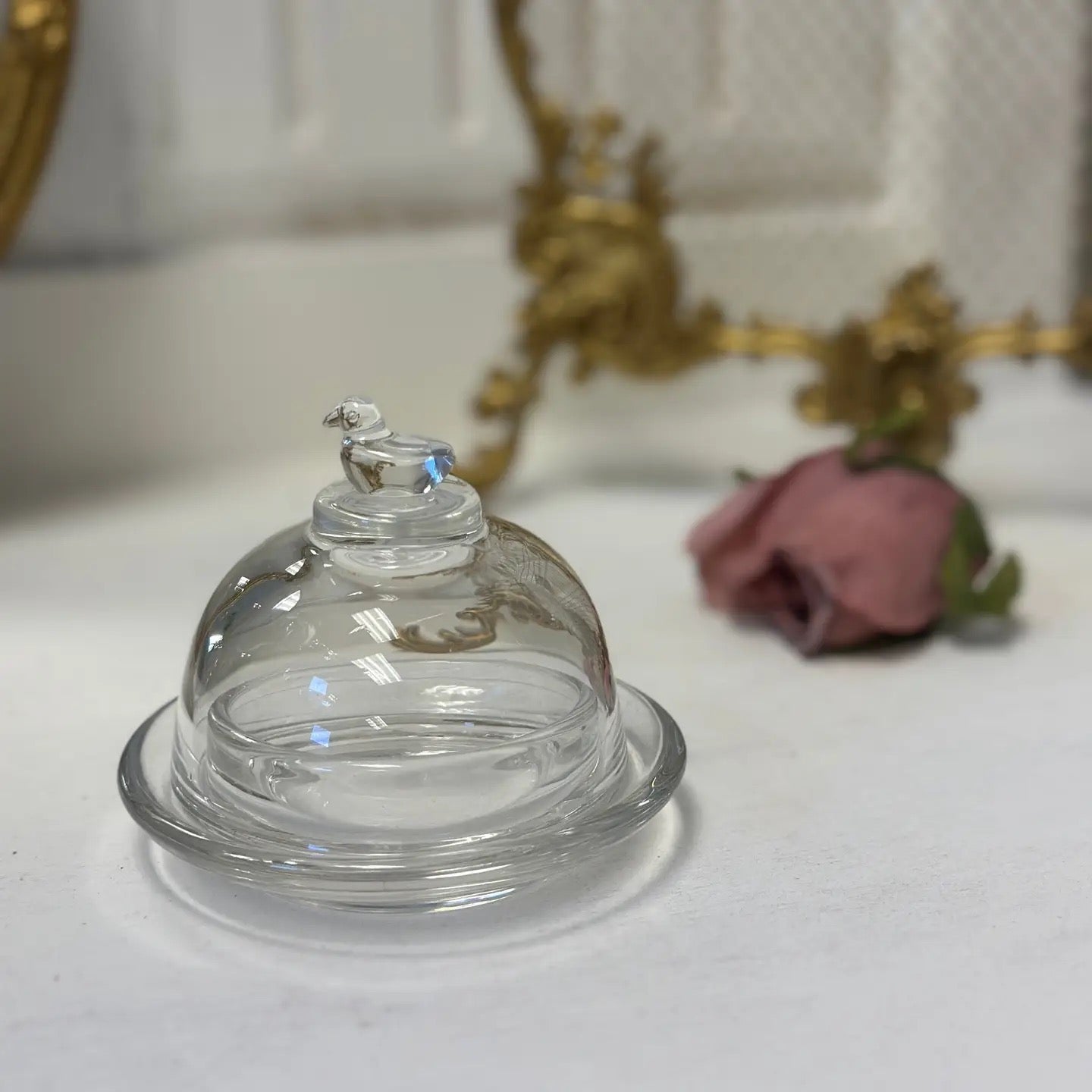 Clear glass dome on a white surface with decorative elements in the background