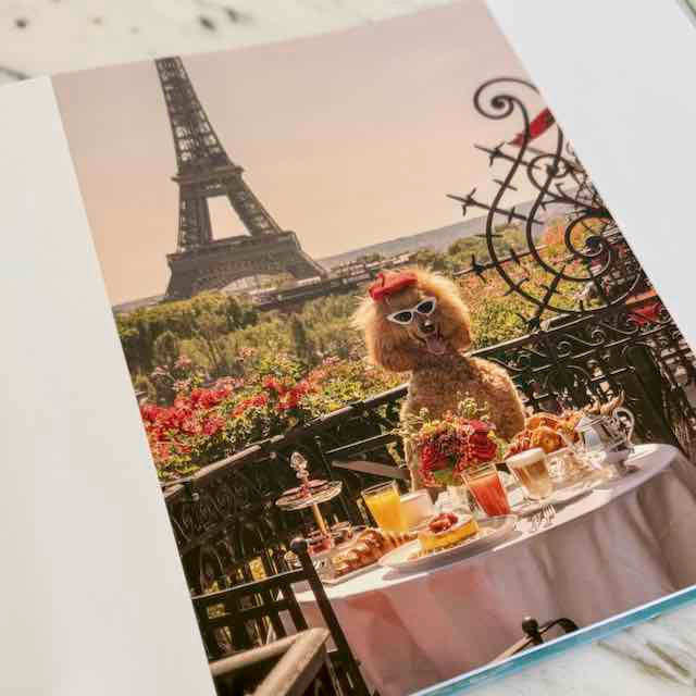 Dog with sunglasses at a Parisian table with Eiffel Tower in the background