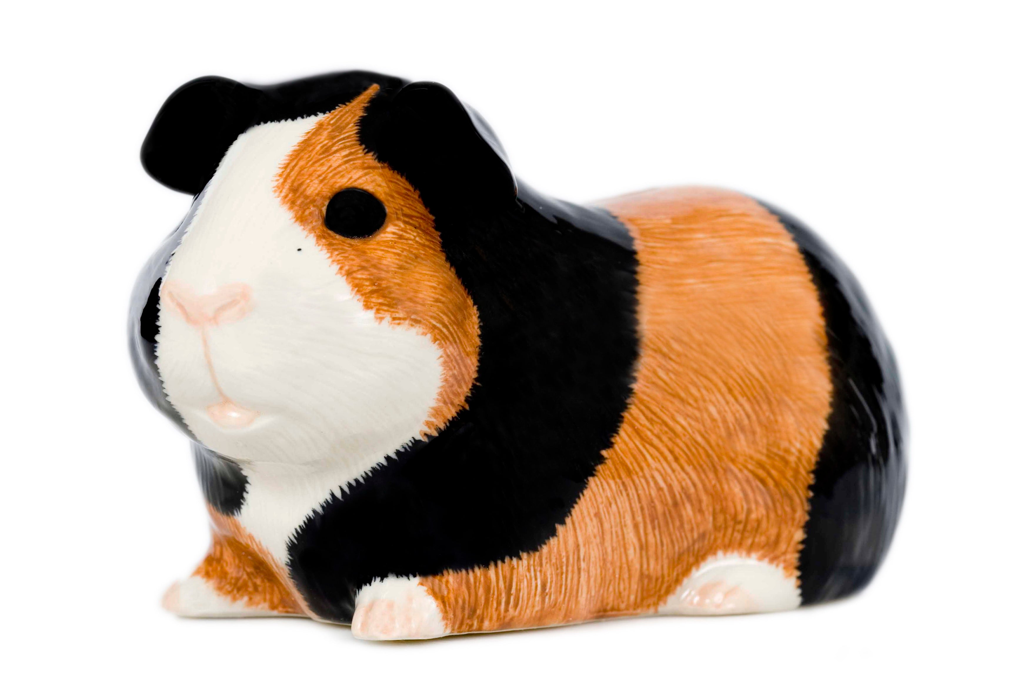 Guinea Pig Money Bank