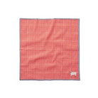 Red checkered fabric on a white background