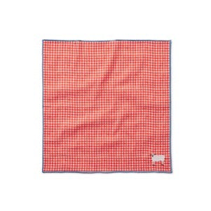 Red checkered fabric on a white background