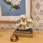 Decorative ceramic piece on a book with floral artwork in the background