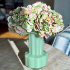 A pale mint green ceramic vase holding a large bouquet of faded pink and green hydrangea flowers, placed on a wooden table in a softly lit indoor setting.