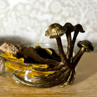 Magical Mushroom Planter