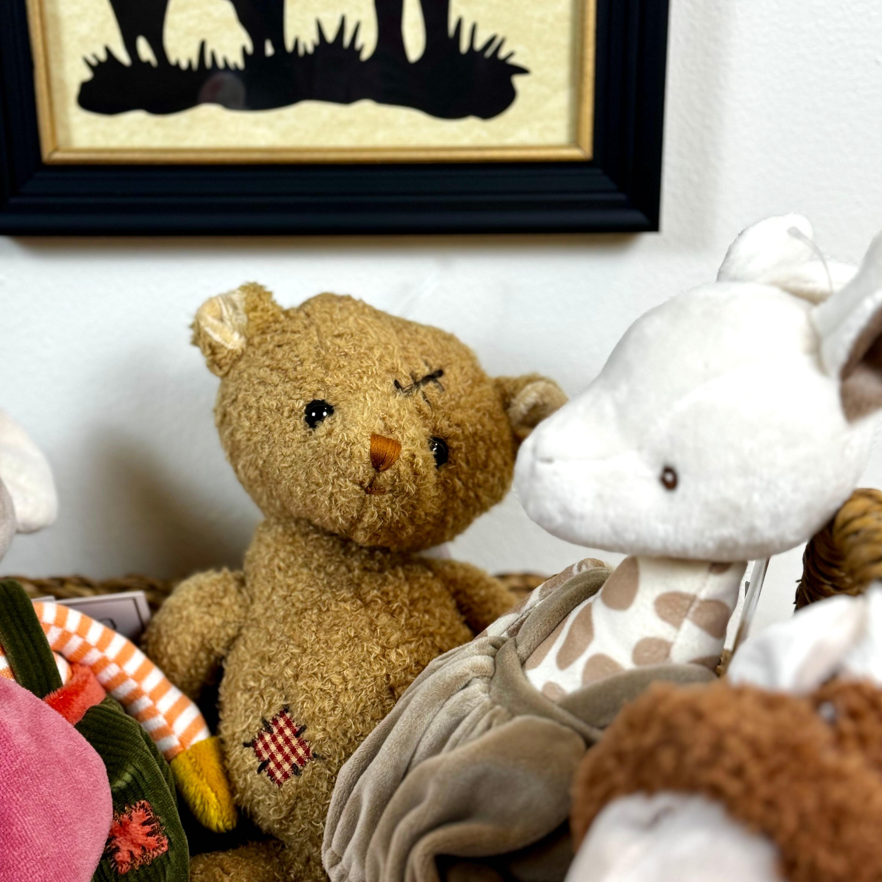 Nobody is Perfect Stuffed Bear – Thomas Lee Living