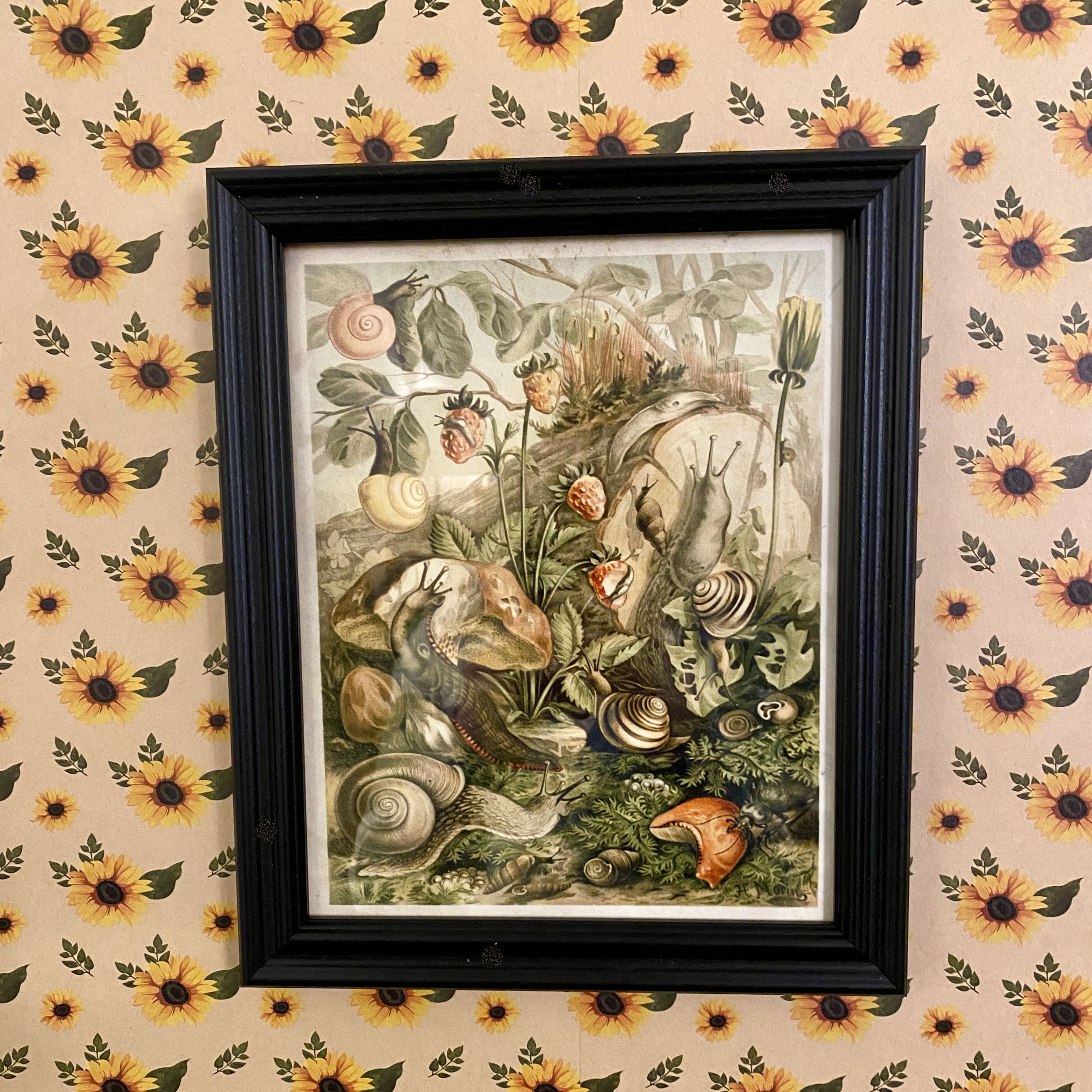 Forest Critters Framed Print