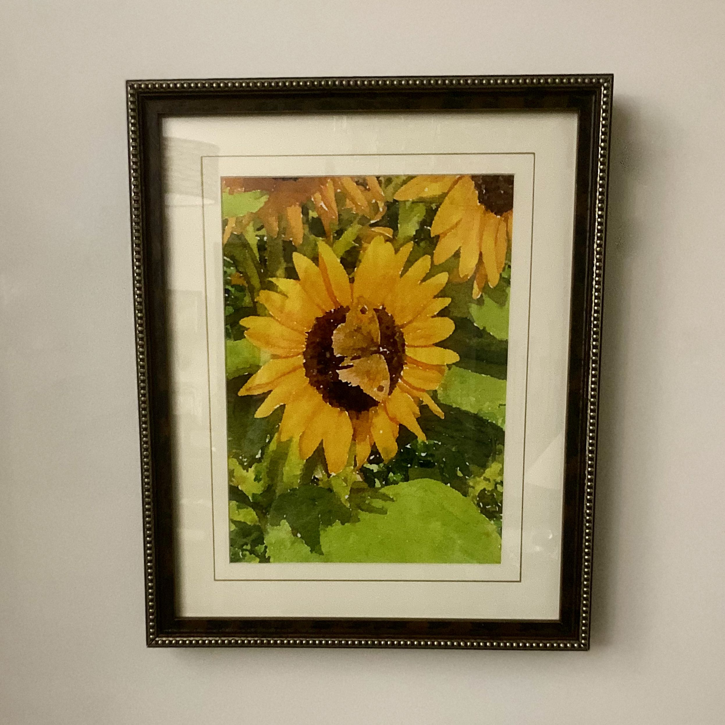 Sunflower Vinyards Wall Print