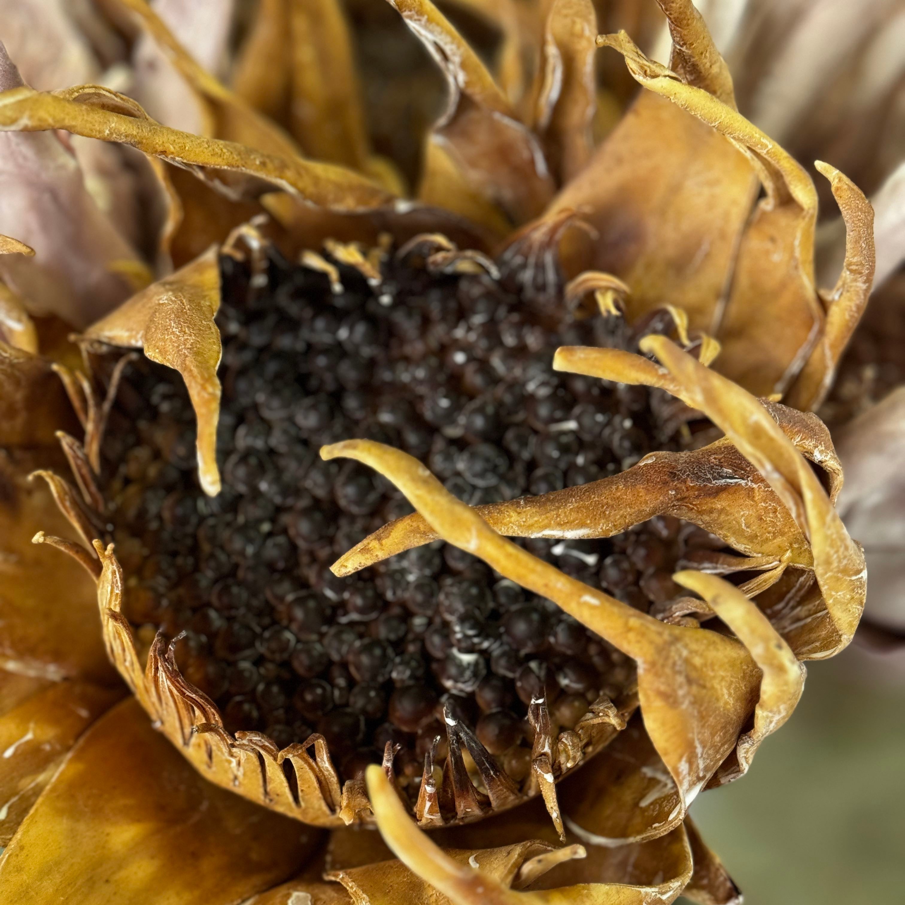 Faux Flower Stem in Camel