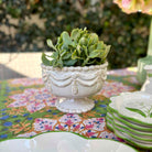 A white ceramic pedestal bowl or planter holding a green succulent, set on a colorful floral tablecloth outdoors with matching green-edged plates nearby.