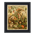 Forest Critters Framed Print