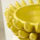 Banana Bowl